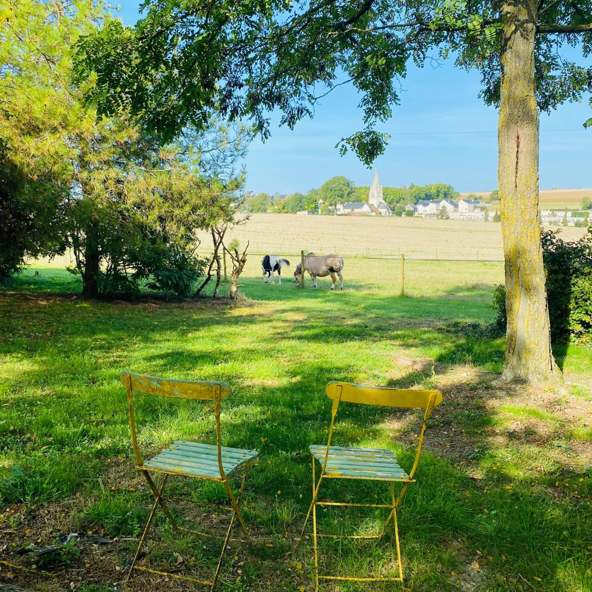 L'Ecrin De Verdure Ligre Exterior photo